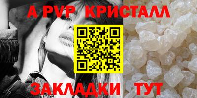 стаф Кандалакша