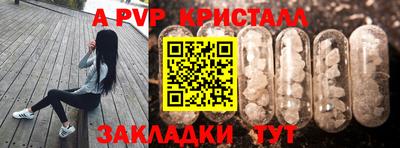 стаф Кандалакша