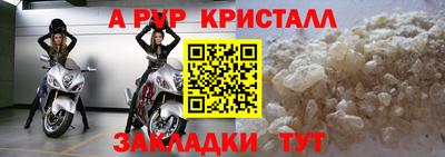 стаф Кандалакша