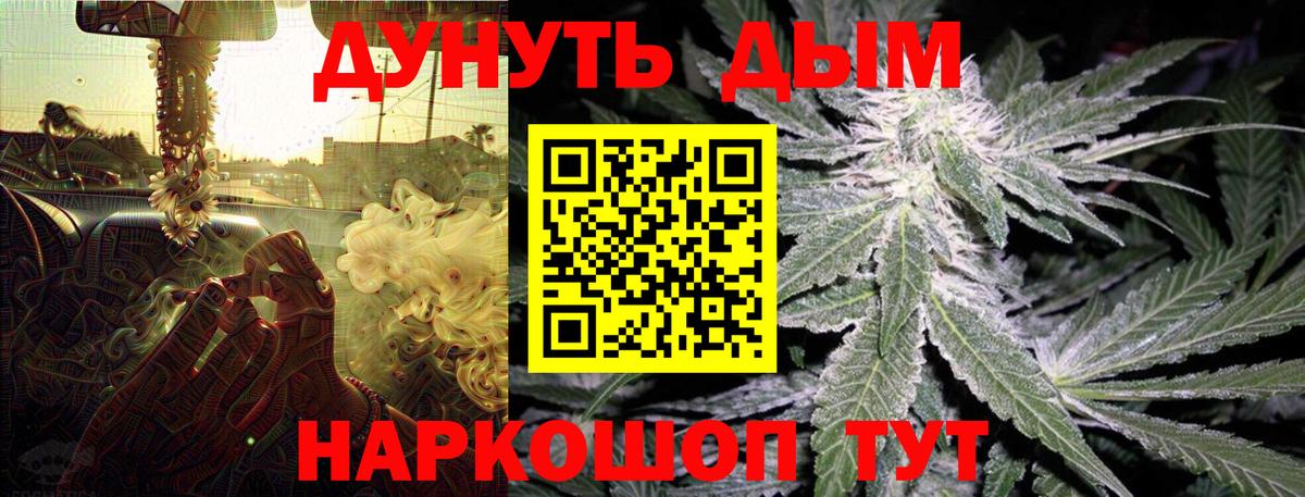 Каннабис семена Куйбышев